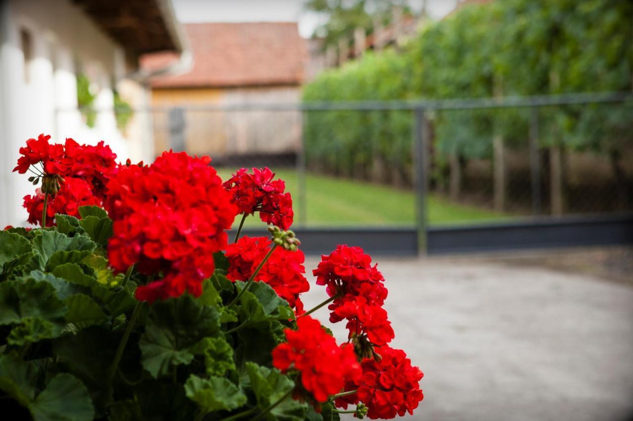 Apartman Kuca 150 Mala Subotica Luaran gambar
